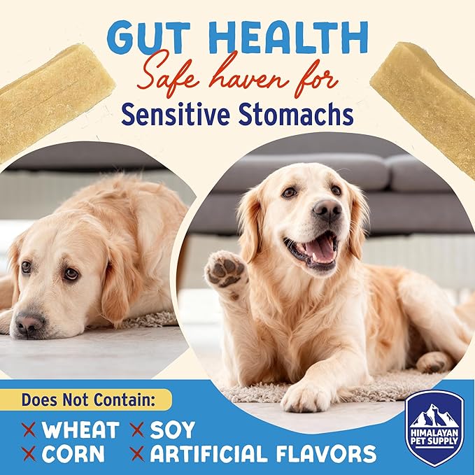 Himalayan Dog Chew Yogurt Sticks, Bacon Flavor, Dog Treats with Prebiotics, Probiotics & Protein, Digestive Support, Lactose & Gluten Free, Natural Dog Treat for All Breeds, Made in America,