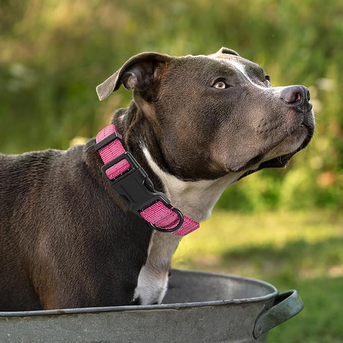 Mile High Life Dog Collar | Nylon Reflective Dog Collars | Light Weight Puppy Collars | Pink Dog Collars for Large Dogs (Solid Pink, Large)