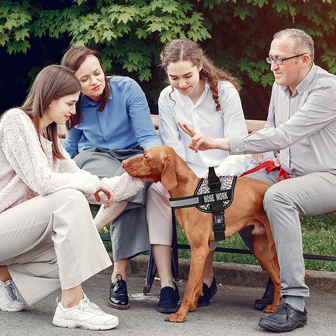 Dogline Unimax Dog Harness Vest with Nose Work Patches Reflective No-Pull, Adjustable Straps, Breathable Neoprene for Medical, Service, Identification, Training Dogs Girth 22 to 30" Leopard Multicolor