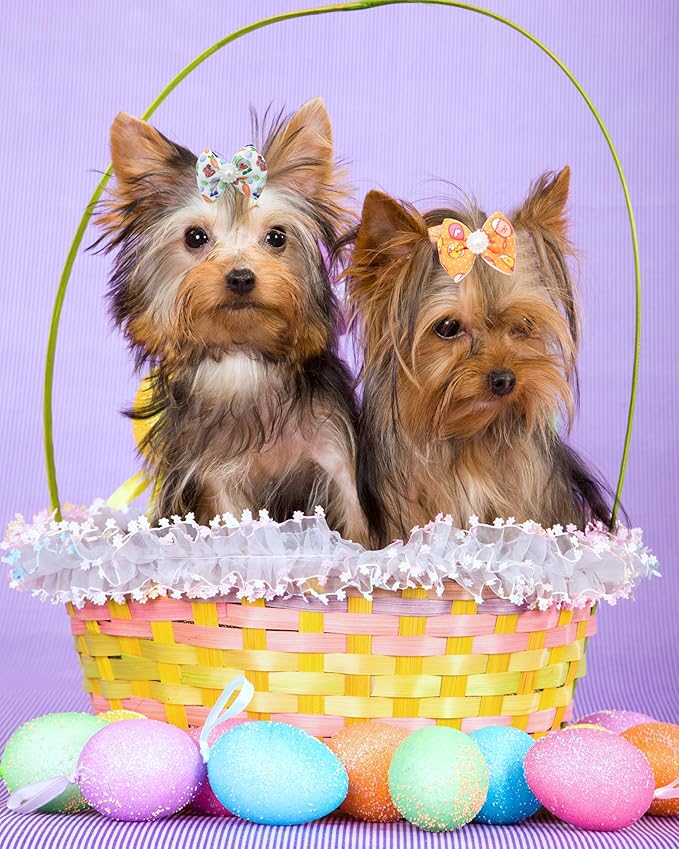 PET SHOW 20 Pack Easter Dog Hair Bows with Alligator Clips for Small Medium Dogs Colorful Bowknot Hair Clips Cat Puppy Yorkshire Grooming Hair Accessories Bunny Eggs for Party Costumes