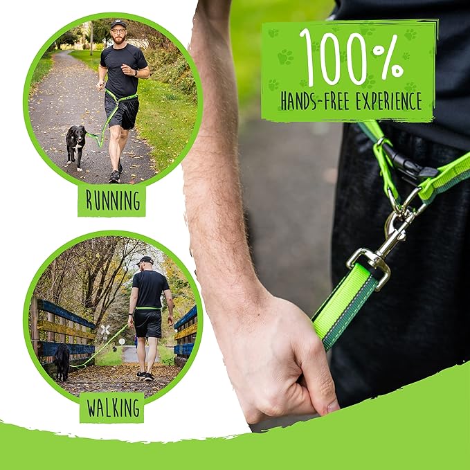 Mighty Paw Hands Free Dog Leash | Bungee Waist Leash for Dog Walking. Pet Running Hands Free Tether for Large, Medium & Small Breeds. Pet Waist Belt (36" - 48") Up to 150 lbs - Green