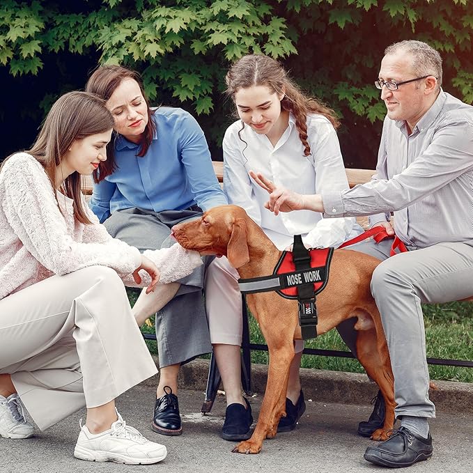 Dogline Vest Harness for Dogs and 2 Removable Nose Work Patches, X-Small/15 to 19", Red