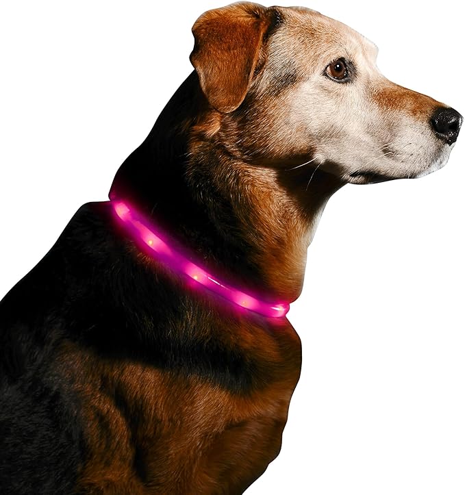 LED Dog Necklace Collar - USB Rechargeable Loop - Available in 6 Colors - Makes Your Dog Visible, Safe & Seen