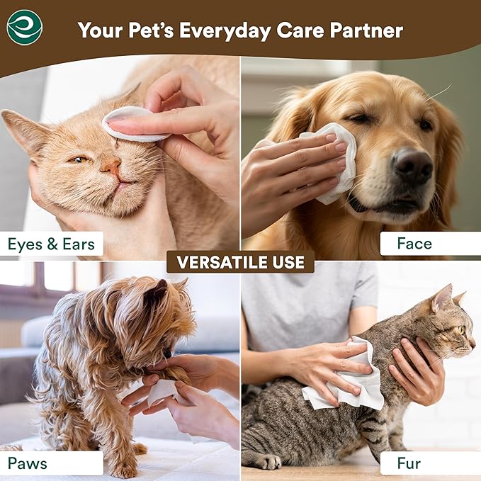 ECO SOUL Pet Wipes for Dogs & Cats, Unscented Large Cleaning Wipes with Aloe & Glycerin | Alcohol & Chlorine Free | Pack of 1 (100 Wipes) (Pack of 2)