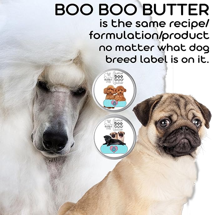 The Blissful Dog BB-BELGIAN-16OZ Vizsla Boo Butter