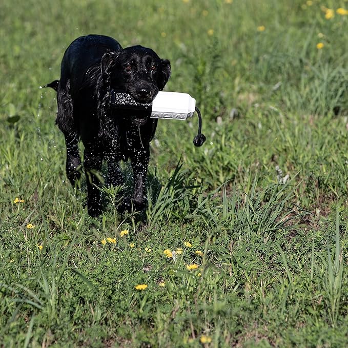 Momarsh Floating Dog Training Bumper | Durable Dummy with Easy Launch Rope | Advanced Waterfowl Hunting Retriever Dog Tool | Enhance Agility and Obedience