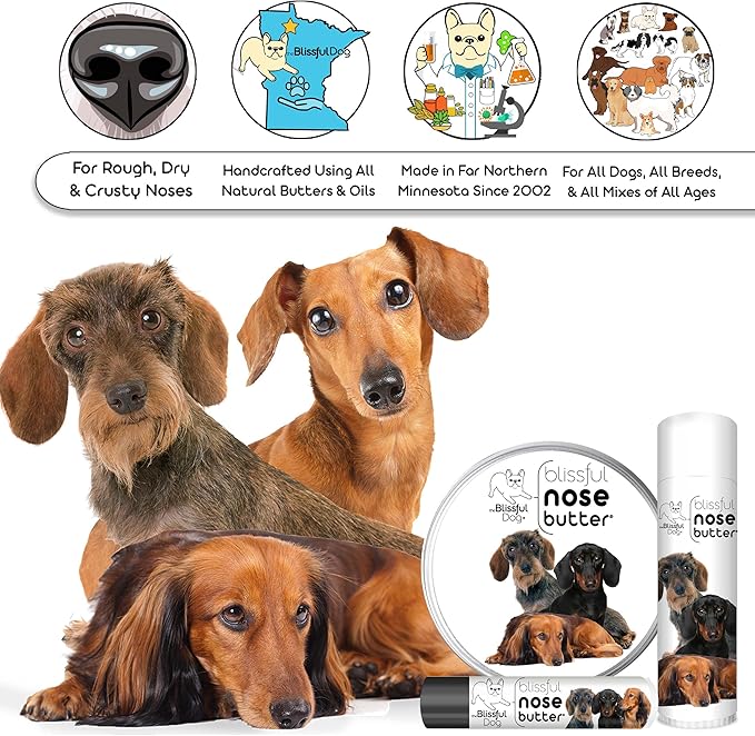 The Blissful Dog Daschund Nose Butter for Dry, Cracked Skin, Lick-Safe Dog Nose Balm with Moisturizing Shea Butter, Almond, Olive, and Essential Oils, Pet Supplies, Uncented, 4 oz.