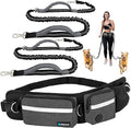 PetAmi Hands Free Dog Leash, Dog Running Leash Belt Bag for Walking, Jogging, Dog Waist Double Zipper Pouch with Poop Bag Dispenser, Dual Padded Handles Reflective Bungee Leash, Double (Charcoal Grey)