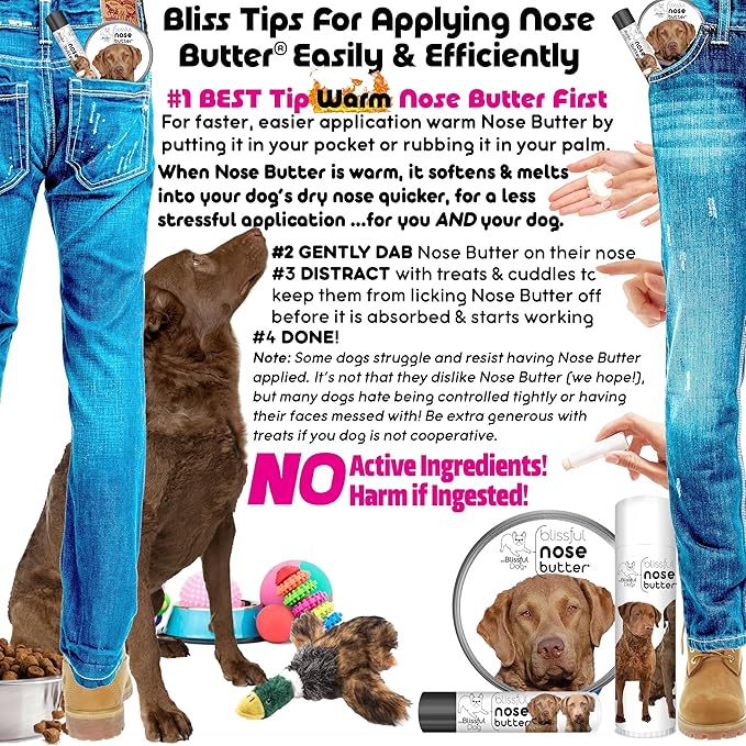 The Blissful Dog Chesapeake Bay Retriever Unscented Nose Butter, 0.50-Ounce