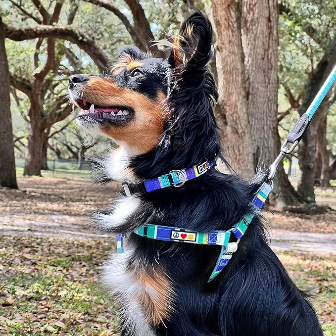 Pawtitas Personalized Dog & Puppy Harness Small Pink/Blue/Teal/Green Custom ID Tag Adjustable No Pull Vest