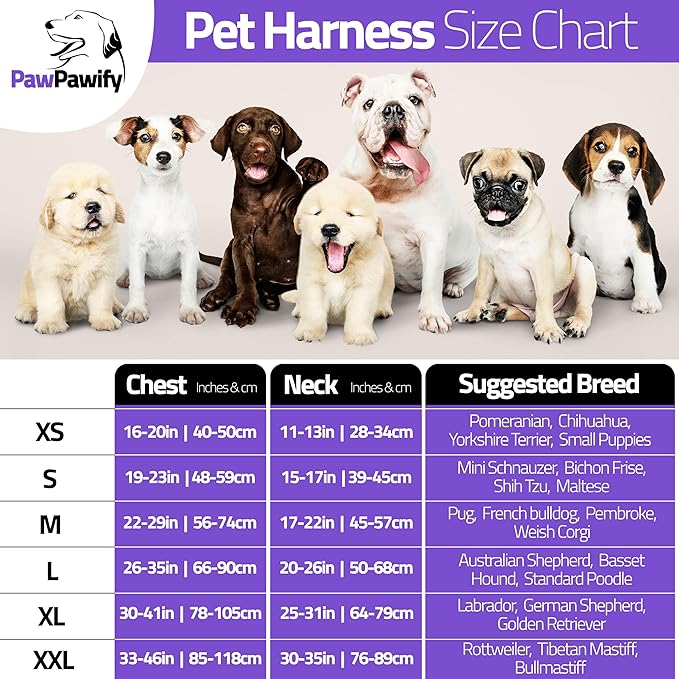 Personalized No Pull Dog Harness with Custom Name and Phone Number by PawPawify, Heavy Duty Pet Vest to Prevent Tugging, Pulling, or Choking, Training and Walking
