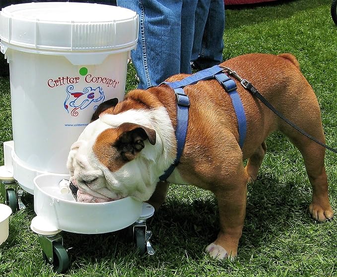 Automatic Dog Waterer 5.0 Gallons with a Chiller (Thermal) Cover to Help Keep The Water Cool. Used by Dog daycares This May be The Last Automatic Water Bowl That You Will Ever Buy.