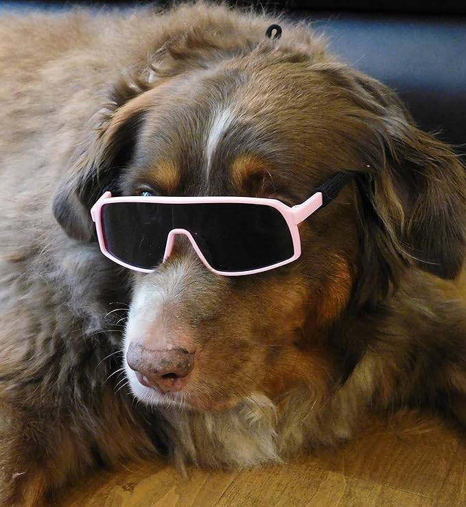 G010 Dog Pet Turbo Sports Sunglasses Medium Breeds 20-40 lbs (Sports Turbo Pink)
