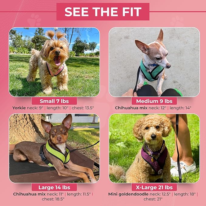 Gooby Comfort X Head In Harness - Hunter Green, X-Large - No Pull Small Dog Harness Patented Choke-Free X Frame - On the Go Dog Harness for Medium Dogs No Pull or Small Dogs for Indoor and Outdoor Use