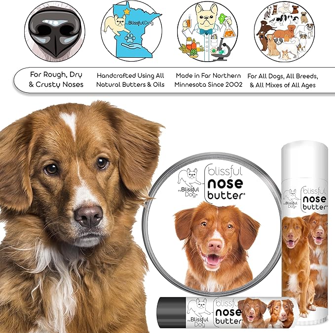 The Blissful Dog Nova Scotia Duck Tolling Retriever Unscented Nose Butter - Dog Nose Butter, 2 Ounce