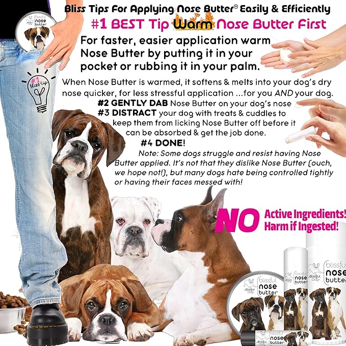 The Blissful Dog Fawn Boxer Nose Butter for Dry, Cracked Skin, Lick-Safe Dog Nose Balm with Moisturizing Shea Butter, Almond, Olive, and Essential Oils, Pet Supplies, Uncented, 2 oz.