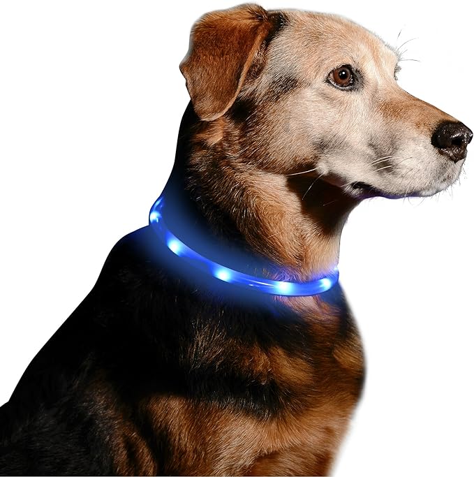 LED Dog Necklace Collar - USB Rechargeable Loop - Available in 6 Colors - Makes Your Dog Visible, Safe & Seen