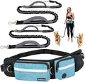PetAmi Hands Free Dog Leash, Dog Running Leash Belt Bag for Walking, Jogging, Dog Waist Double Zipper Pouch with Poop Bag Dispenser, Dual Padded Handles Reflective Bungee Leash, Double (Turquoise)