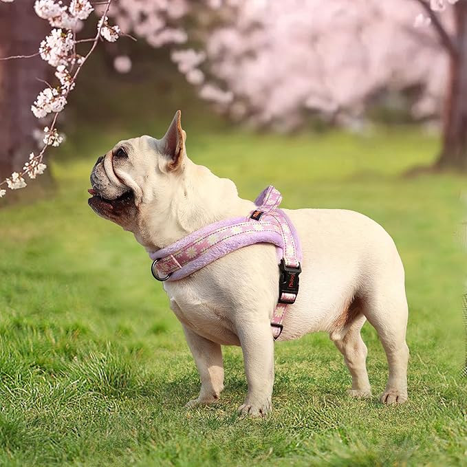 Didog No Pull Dog Harness with Soft Padded, Easy Walk Dog Harness with Quick Release Buckle, Adjustable & Reflective Pet Harness with Soft Padded for Small Medium Dogs (S:Chest 19-22", Purple)