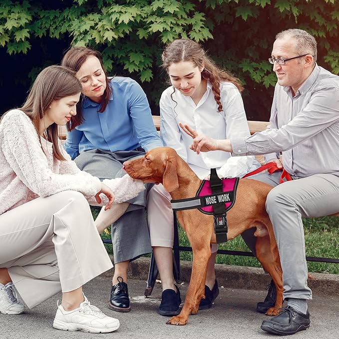 Dogline Vest Harness for Dogs and 2 Removable Nose Work Patches, X-Small/15 to 19", Pink