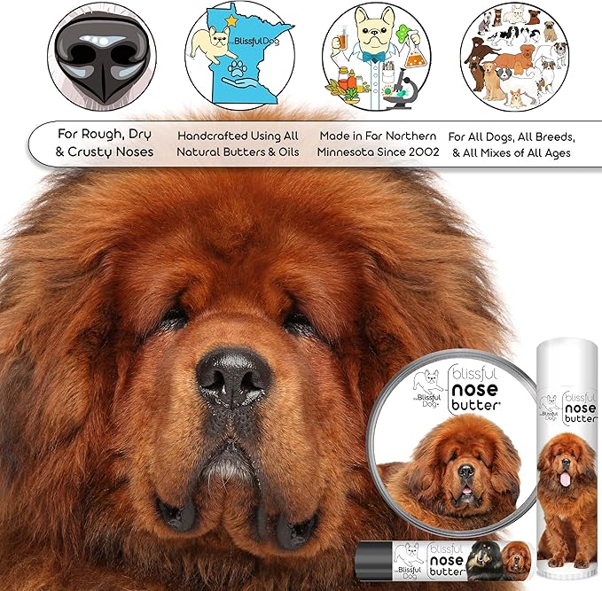 The Blissful Dog Tibetan Mastiff Nose Butter for Dry, Cracked Skin, Lick-Safe Dog Nose Balm with Moisturizing Shea Butter, Almond, Olive, and Essential Oils, Pet Supplies, Uncented, 2 oz.