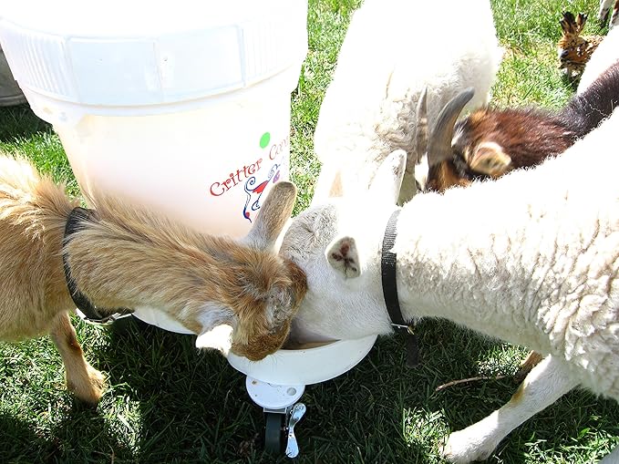 Automatic Dog Waterer 5.0 Gallons with a Chiller (Thermal) Cover to Help Keep The Water Cool. Used by Dog daycares This May be The Last Automatic Water Bowl That You Will Ever Buy.