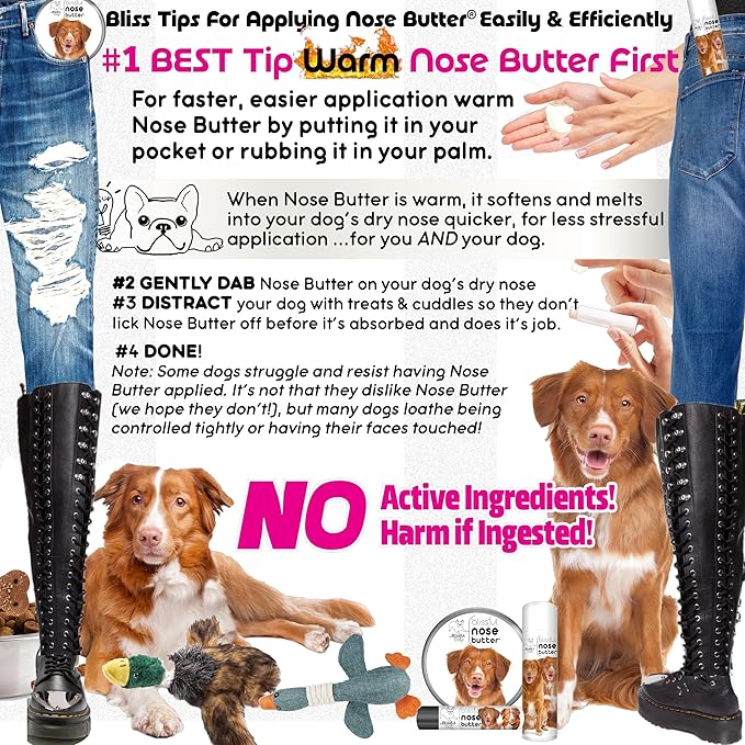 The Blissful Dog Nova Scotia Duck Tolling Retriever Unscented Nose Butter - Dog Nose Butter, 2 Ounce