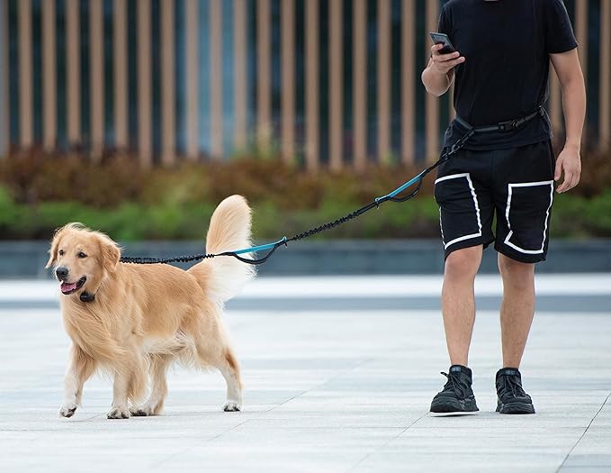 iYoShop Hands Free Dog Leash with Zipper Pouch, Dual Padded Handles and Durable Bungee for Walking, Jogging and Running Your Dog (Large, 25-120 lbs, Yellow)