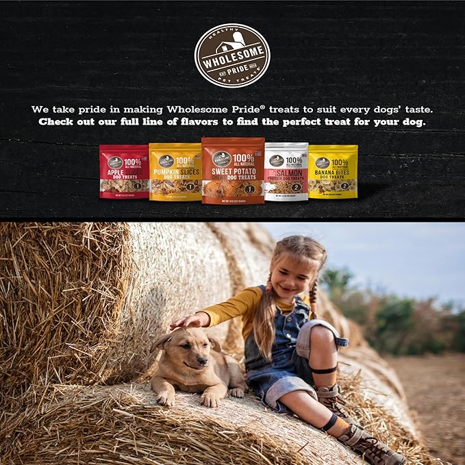 Wholesome Pride Banana Bites Dog Treats – 2-Ingredient Banana Chips for Dogs, Grain-Free, Banana & Coconut Oil, 16 oz