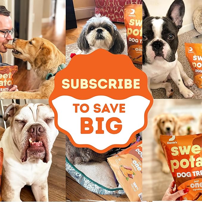Davie's Sweet Potato Dog Treats - Healthy, Natural Dog Chews, Low Fat, 1 lb. Bag