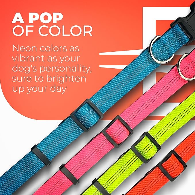 BLAZIN Reflective Dog Collar - Vibrant Color for Day and Night - Soft Neoprene Padded Collar - Adjustable Sizing -'Color Me Happy!' Dog Collars - Brighter Means Safer - (Small, Blue)