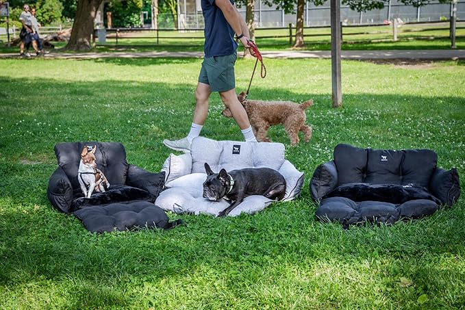 JACKO & CO - Premium Dog Car Seat v2 Booster Seat for Small & Medium Pets Under 40lbs - Machine Washable w Removable Covers, Water Resistant w Clip-On Leash for Back Seat Use (Black Medium (20-40lbs)