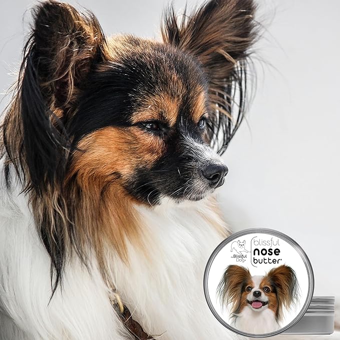 The Blissful Dog Papillon Unscented Nose Butter - Dog Nose Butter, 8 Ounce