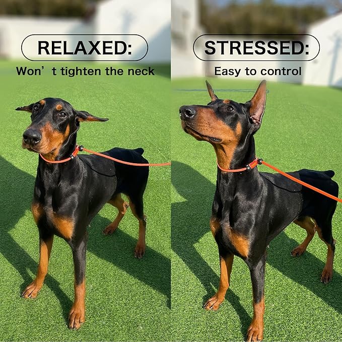 Howgo Dog Slip Lead Dog Leash, Training Leash, No-Pull Lightweight Slip Lead and Collar, Heavy Duty & Durable, Padded Handle, for All Breeds (Lavender, 3.6FT)