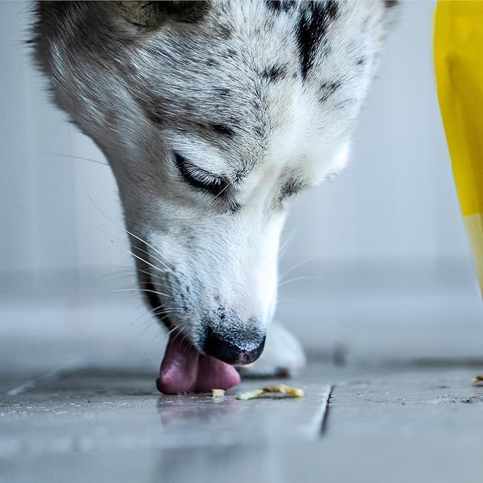 Wholesome Pride Banana Bites Dog Treats – 2-Ingredient Banana Chips for Dogs, Grain-Free, Banana & Coconut Oil, 16 oz