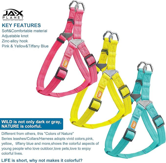 Dog Harness and Leash - Comfortable Leash and Harness for Small, Medium, Large Dogs - Perfect for Training, Includes D-Ring