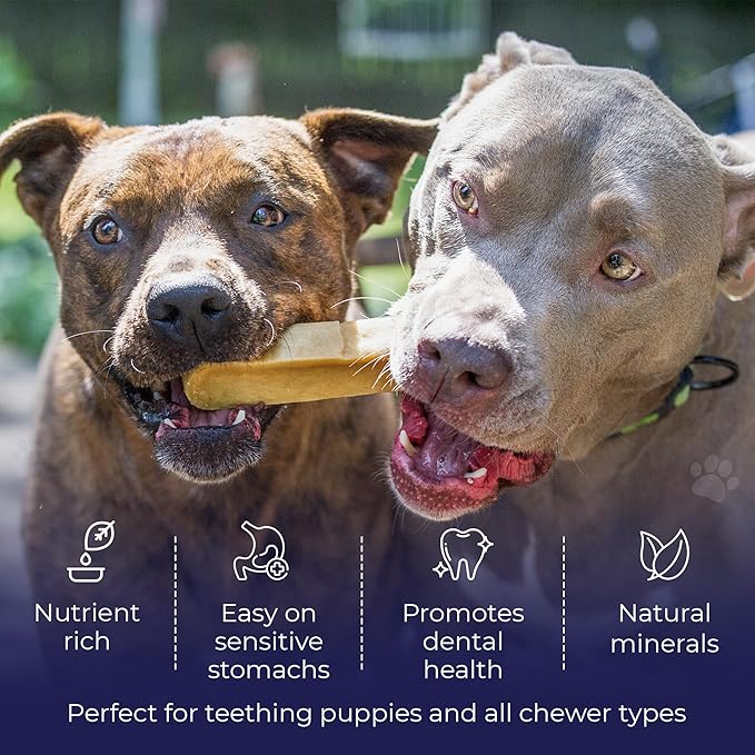 Devil Dog Pet Co. Himalayan Yak Cheese Dog Chews, Large - 1 Pack, 100% Natural & Healthy, Lactose-Free, Long-Lasting Dog Treats, Premium Yak Milk Chew Bones for Dogs