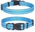 Mile High Life Reflective Dog Collar, Basic Dog Collars Adjustable Quick Release, Soft Nylon Pet Collar with Metal D-Ring for Small Medium Large Dogs (Hot Blue, S Neck11-15")