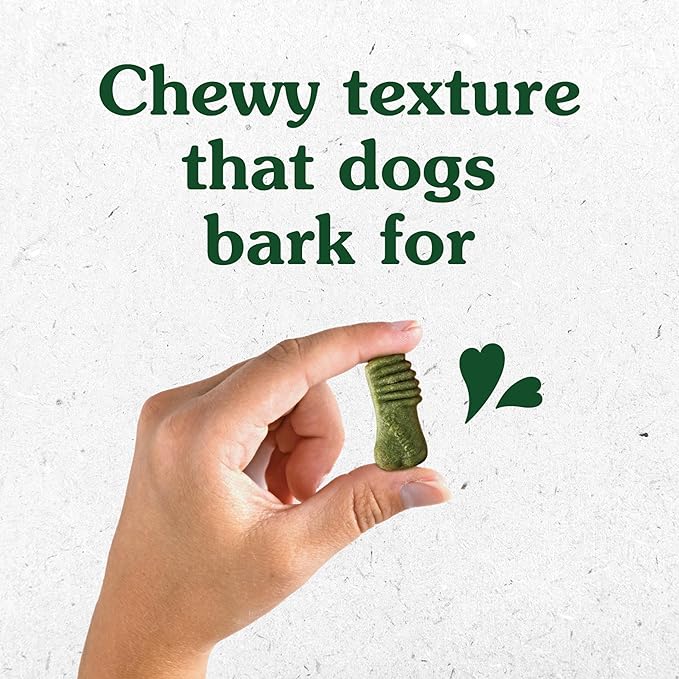 Greenies Anytime Bites Dog Treats, Mint Flavor, 24 oz. Bag