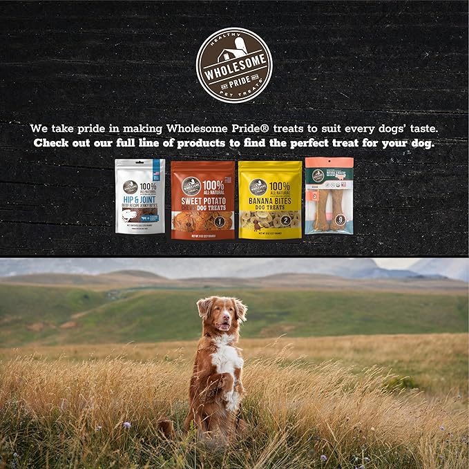 Wholesome Pride Pumpkin Slices Dog Treats – Limited Ingredient, Dehydrated, All Natural, 10 oz