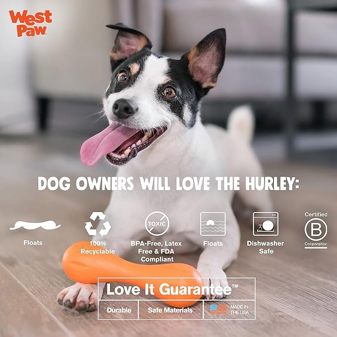 West Paw Zogoflex Hurley Dog Bone Chew Toy – Floatable Pet Toys for Aggressive Chewers, Catch, Fetch – Bright-Colored Bones for Dogs – Recyclable, Dishwasher-Safe, Non-Toxic, X-Small, Aqua