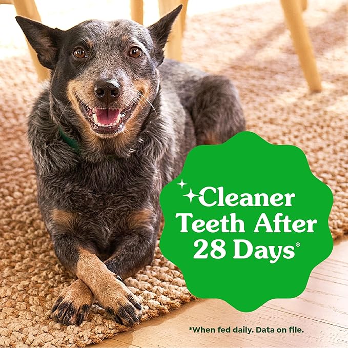 Greenies Veterinarian-Recommended Adult Natural Dental Dog Treats Regular Size, Original Flavor, 12 oz. Pack, 12 Count