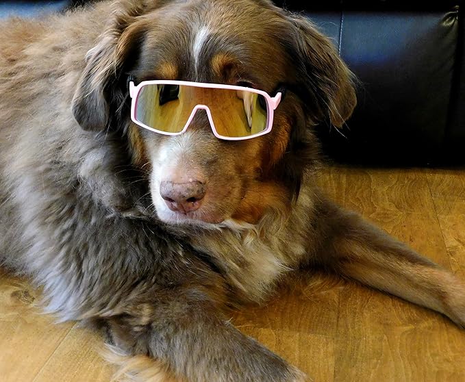 G010 Dog Pet Turbo Sports Sunglasses Medium Breeds 20-40 lbs (Sports Turbo Pink-Pink mr)