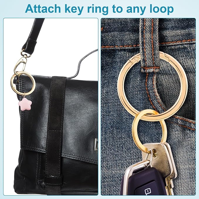Spring O Rings,Round Spring Snap Keyring, Metal Carabiner Clips for Keychain Handbag Purse Dog