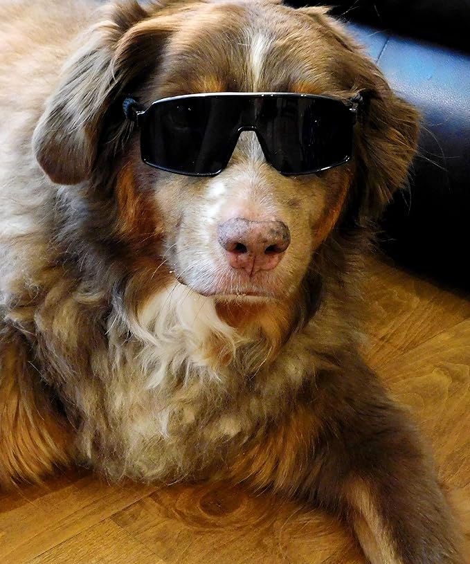 G010 Dog Pet Turbo Sports Sunglasses Medium Breeds 20-40 lbs (Sports Turbo Black)