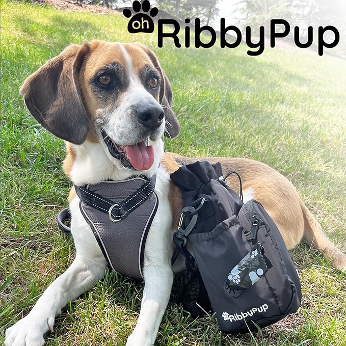 RibbyPup Waterproof Dog Walking Bag with Universal Water Bottle Holder, Built-In Poop Bag Dispenser, Unisex Cross-Body Treat Pouch (Gray)