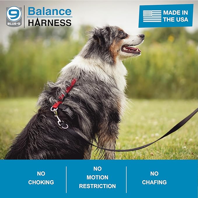 Blue-9 Buckle-Neck Balance Harness, Fully Customizable Fit No-Pull Harness, Ideal for Dog Training and Obedience, Made in The USA, Blue, Medium