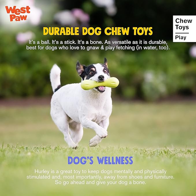 West Paw Zogoflex Hurley Dog Bone Chew Toy – Floatable Pet Toys for Aggressive Chewers, Catch, Fetch – Bright-Colored Bones for Dogs – Recyclable, Dishwasher-Safe, Non-Toxic, X-Small, Aqua