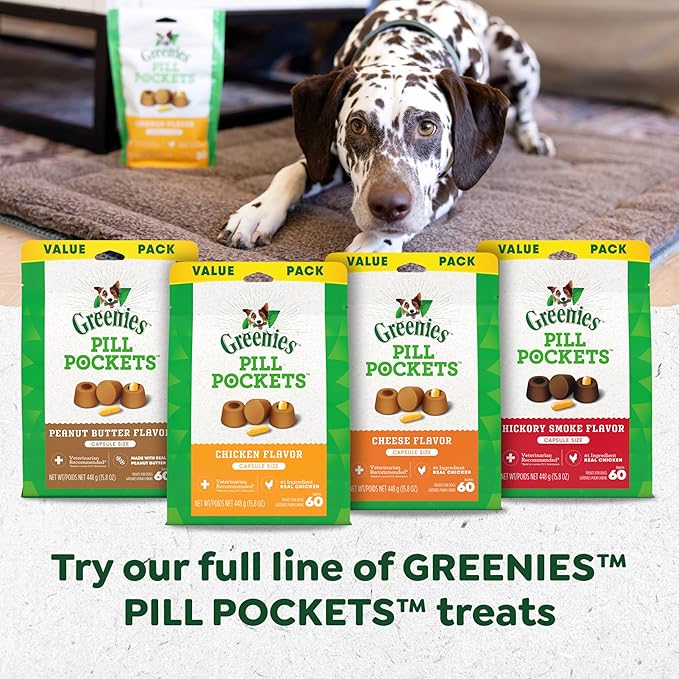 Greenies Pill Pockets for Dogs, Large Size Soft Dog Treats, Cheese Flavor, 15.8 oz. Pouch