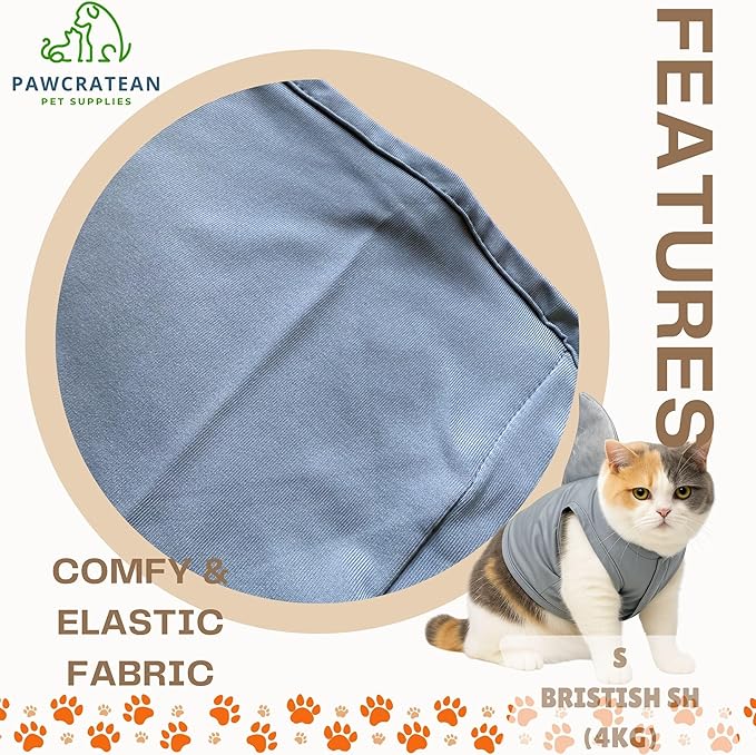 Pet Custom Dog Custom Cat Custom Hoodie, Sporty Look, Funny Gift, Halloween Holiday (Shark with Standing Fin, Large)